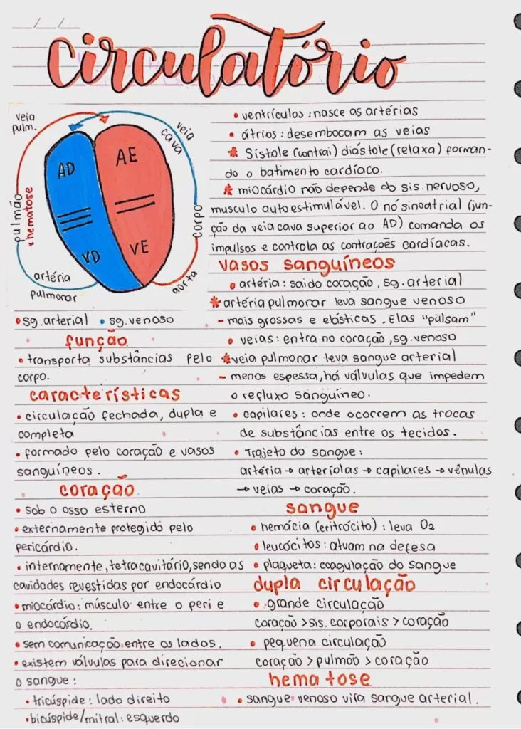 Página de exemplo dos resumos do Enem Expert