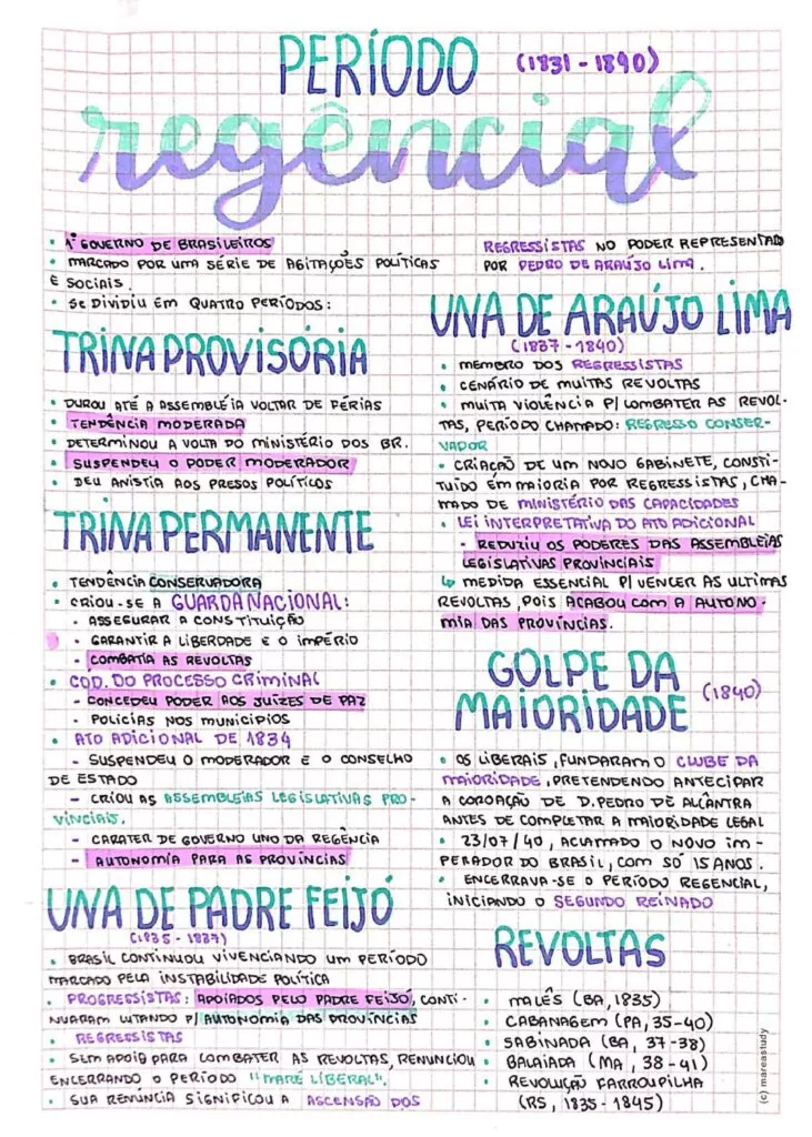 Página de exemplo dos resumos do Enem Expert