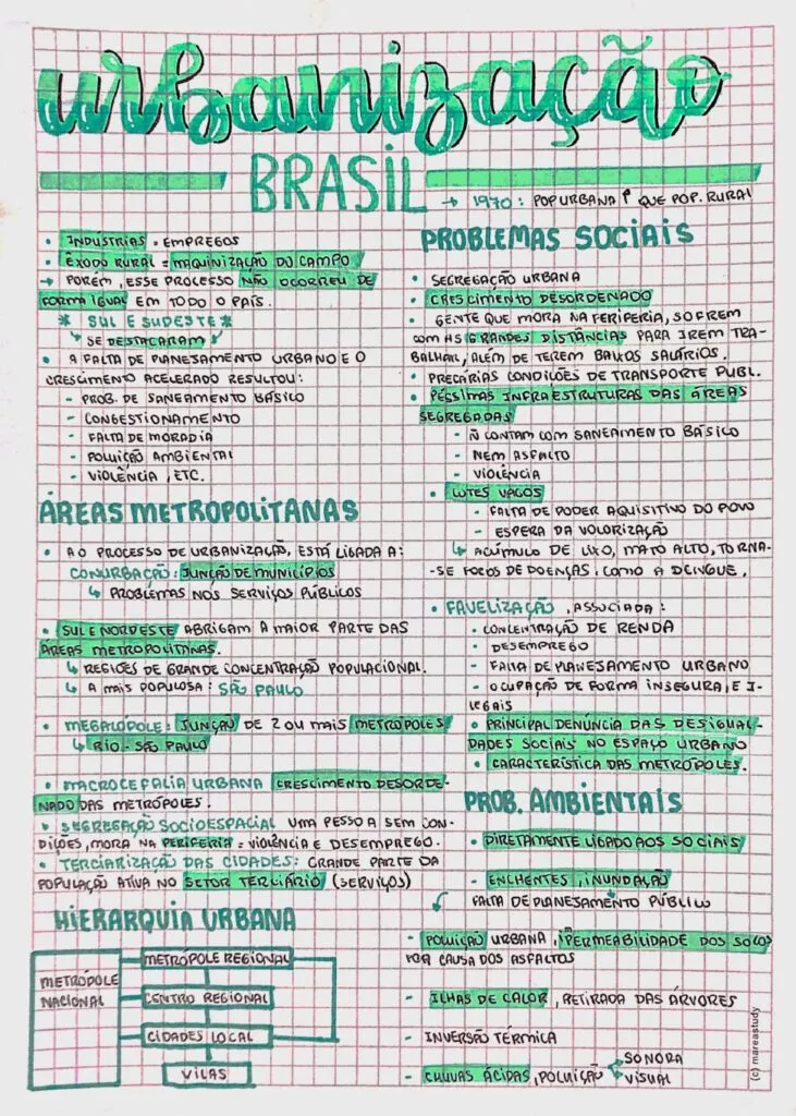 Página de exemplo dos resumos do Enem Expert