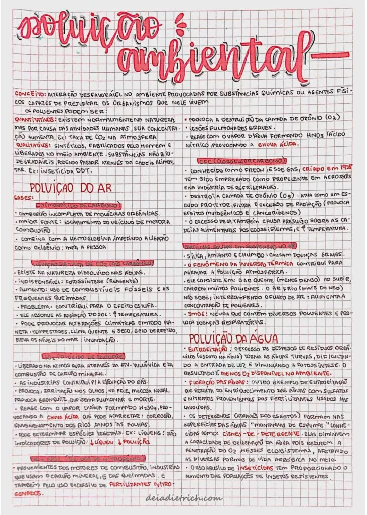 Página de exemplo dos resumos do Enem Expert